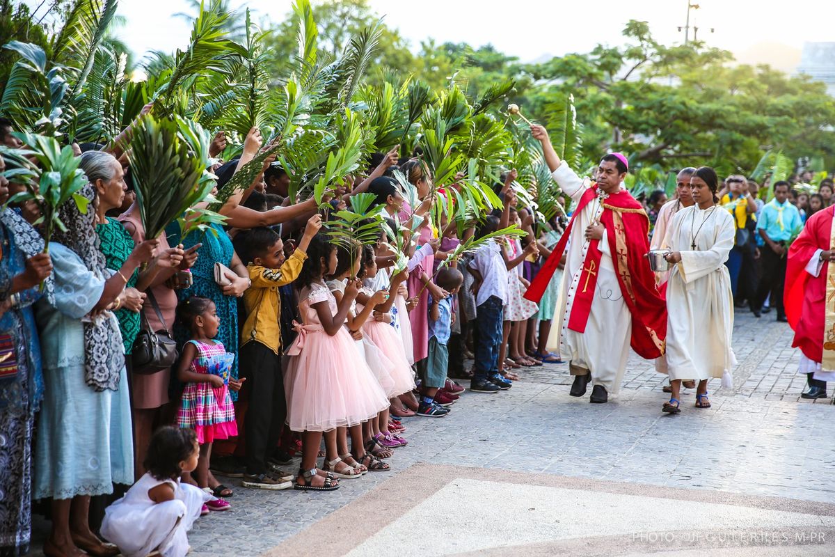 Palm Sunday Procession (East Timor) - Catholic Stock Photo