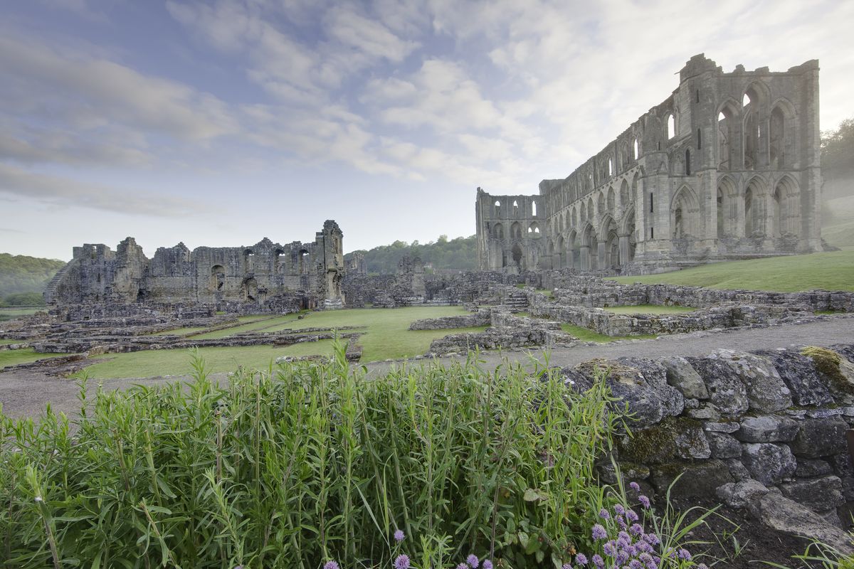 The Ruins of Rievaulx Abbey on the River Rye in North Yorkshire (2011) - Catholic Stock Photo