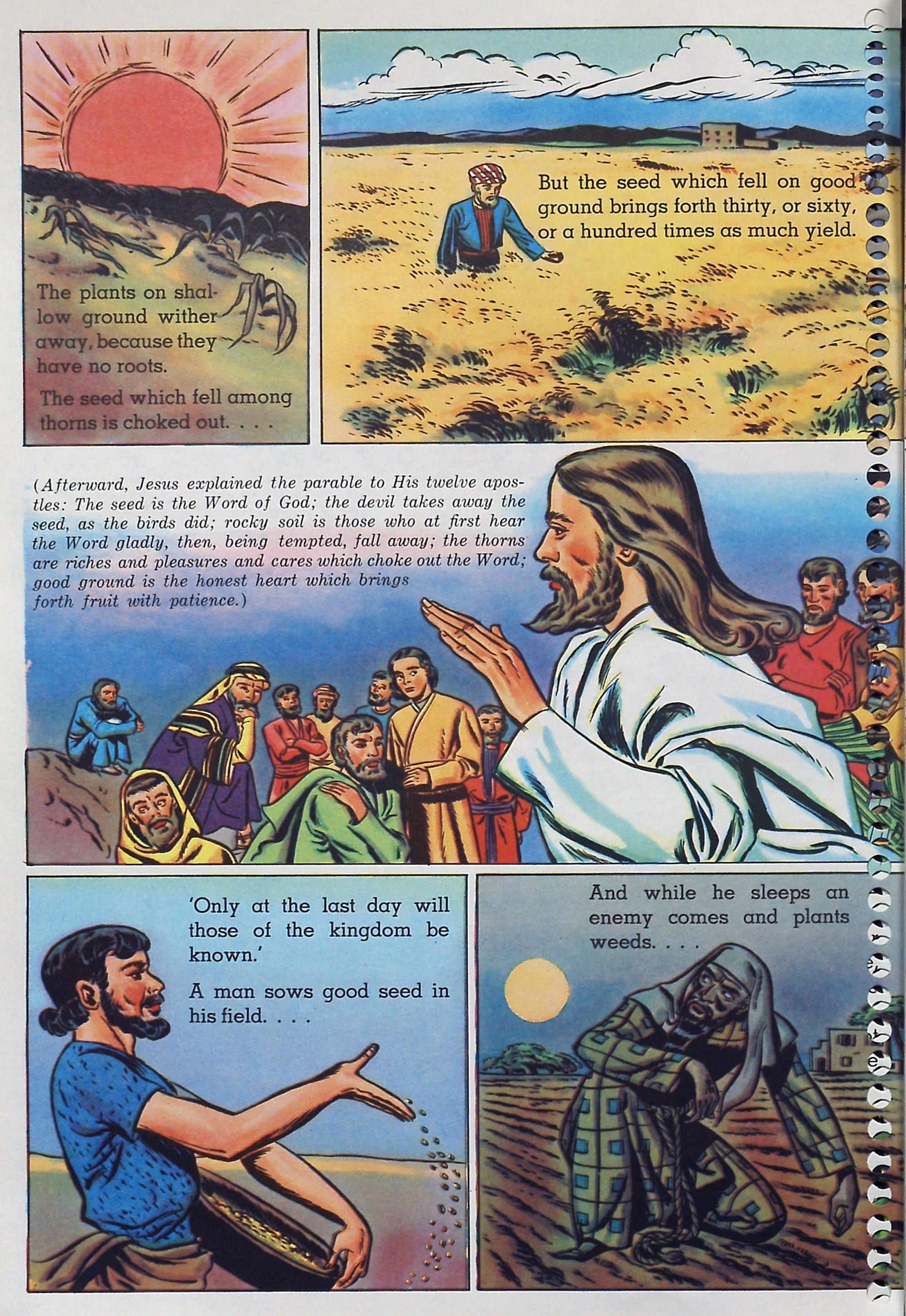 A Man Sows Good Seed in His Field - panel from Parables Jesus Told (1947)
