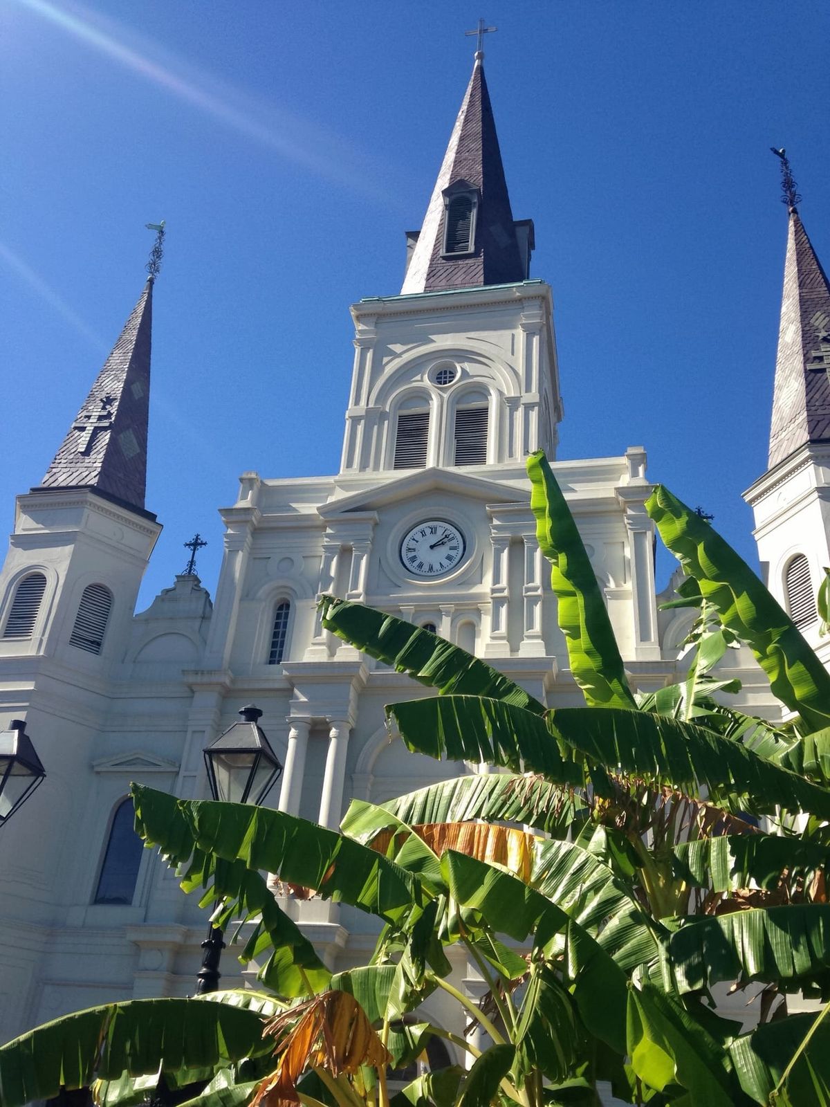 St. Louis Cathedral (New Orleans) - Catholic Stock Photo