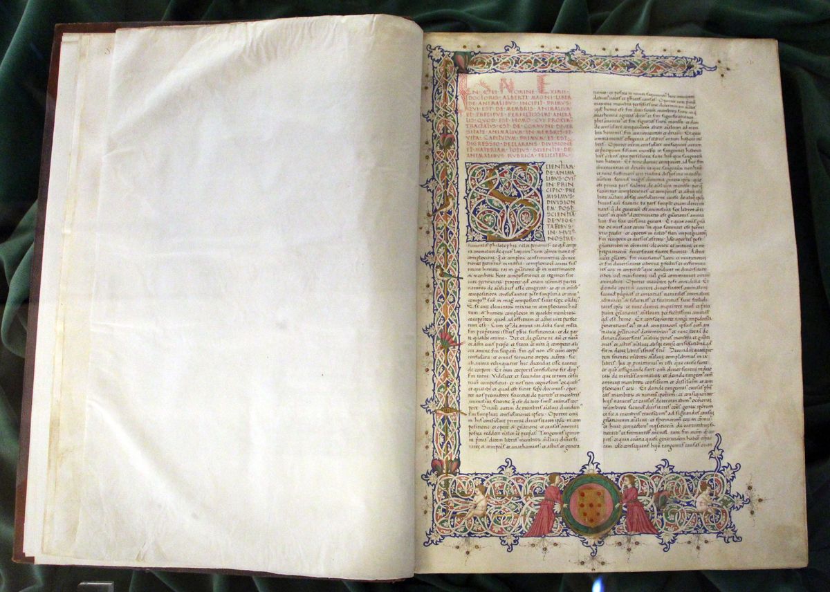 De Animalibus (c. 1450–1500, Cod. Fiesolano 67, Biblioteca Medicea Laurenziana) - Catholic Stock Photo