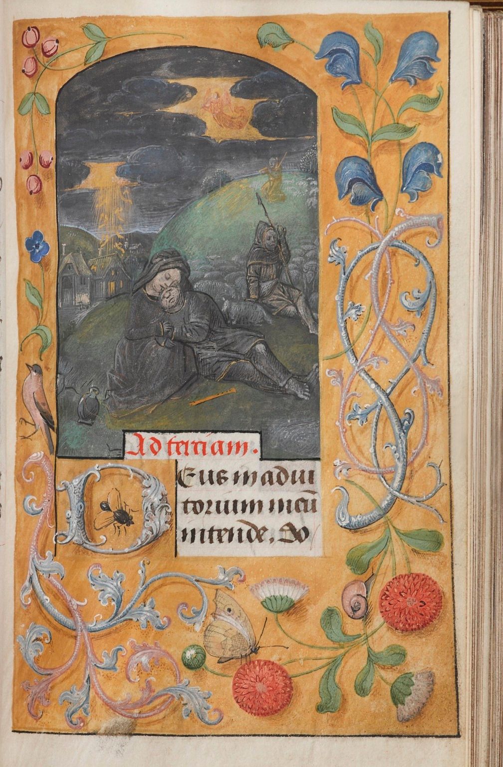 Horae Beatae Mariae Virginis (Flemish, 1510-1530) - Public Domain Illuminated Manuscript
