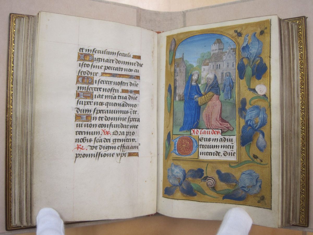 Visitation page in the Horae Beatae Mariae Virginis (Flemish, 1510-1530) - Public Domain Illuminated Manuscript