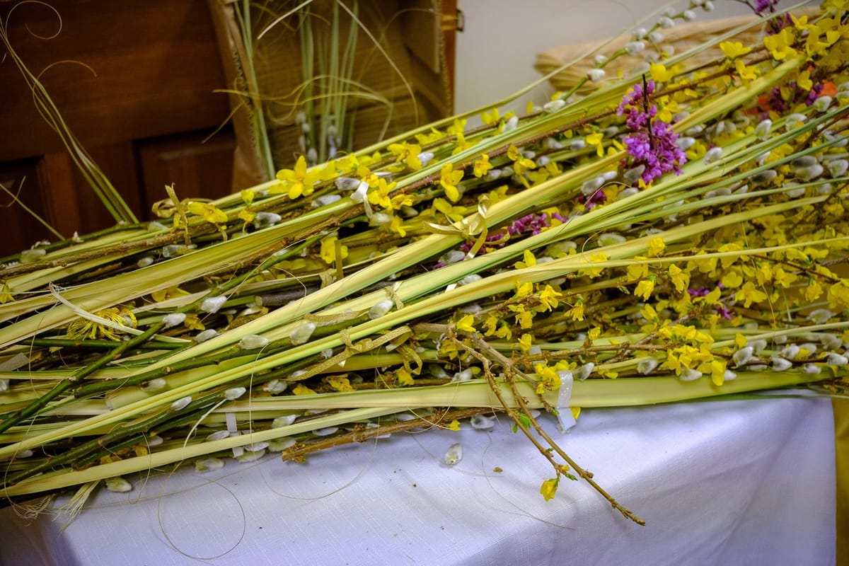Pussy Willow and Forsythia Branches for Palm Sunday at Our Lady of Perpetual Help Byzantine Catholic Church, Virginia Beach (2024) by Shalone Cason - Public Domain Catholic Stock Photo